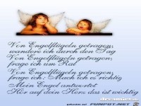 von Engelflaeuegeln getragen 