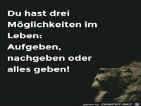 du hast 3 Mglichkeiten im Leben:.....