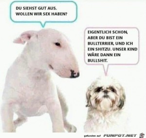 Sie-hat-recht.jpg auf www.funpot.net
