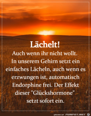 L�chel-einfach-mal.png auf www.funpot.net