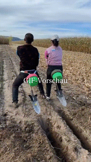 Witziges Video Lustige Katzen - Tausende Videos Auf FUNPOT