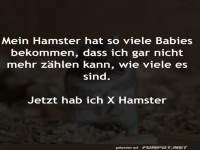 Viele Hamster