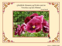 Gl�ckliche Momente