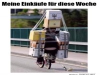 Mega-Einkauf mit dem Fahrrad transportiert