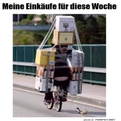Mega-Einkauf-mit-dem-Fahrrad-transportiert.jpg von Eda1990