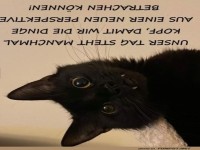 Kopf hoch, Welt steht Kopf!