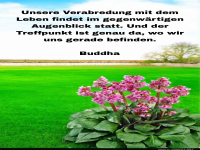 unsere verabredung mit dem leben