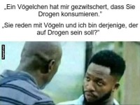 Ein V�gelchen zwitschert schr�g!