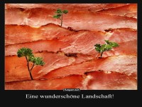 Schinkenpanorama mit Naturflair