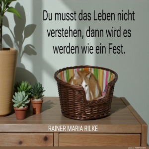 DU-MUSST-DAS-LEBEN.jpg von Fabioma