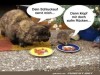weiter