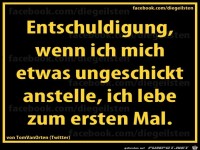diegeilsten Entschuldigung