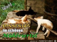 Sonnentag