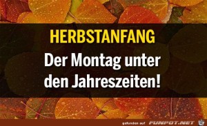 Begrüßungsbild