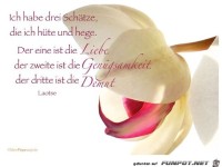 ich habe drei Sch�tze