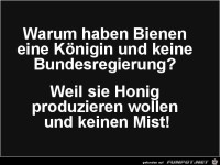 warum haben Bienen eiine K�ngin?.......
