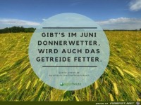 Bauernregel fr den Juni