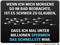 Wenn ich mich Morgens..