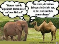 Busen auf dem Ruecken