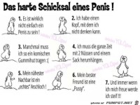 Hartes Schicksal