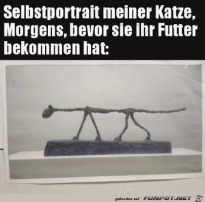 Meine-Katze-bevor-sie-ihr-Futter-bekommt.jpg auf www.funpot.net