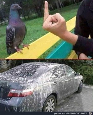 Das-machst-du-mit-mir-nicht.jpg auf www.funpot.net