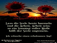 Lass die Seele heute baumeln