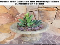 Sch�n zur�ckgeschnitten