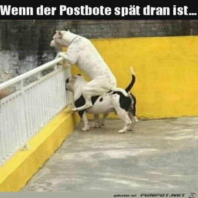 Wo-bleibt-der-denn?.jpg von Ava