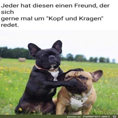 Sei-lieber-still.jpg von Luka