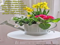 Starte ruhig und gelassen in den Tag