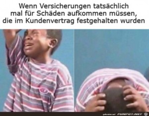 Versicherung-muss-zahlen.jpg auf www.funpot.net