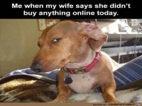 Da wird man misstrauisch