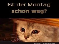 Ist der Montag weg?