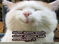 Auch ohne Z�hne s��