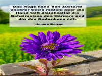 Das Auge kann den zustand