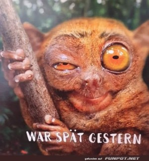 War-spt-gestern.jpg auf www.funpot.net