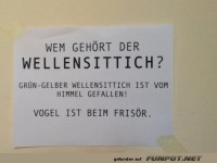 Vogel ist beim Fris�r