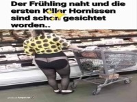 Fr�hling und Killerhornissen-Sichtung