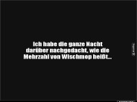 Wischmops in schlaflosen Nchten