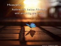 Der unbewusste Schmetterling