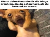 Schock des Tages: Party-Enth�llungen!