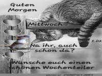 Katze vs. Maus: Morgen-Meeting!