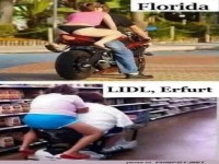 Motorradspa� weltweit: Florida vs. Erfurt