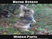 Osterhase oder Partyhase?
