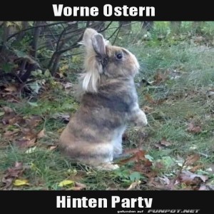 Osterhase-oder-Partyhase?.jpg von Roger05