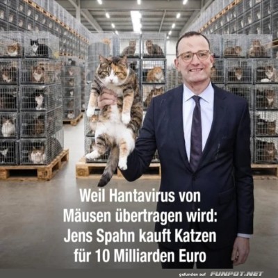 Katzen-gegen-das-Hantavirus!.jpg von Brenda22