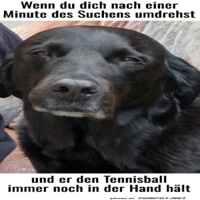 Wenn-der-Hund-dein-Tennisspiel-durchschaut!.jpg von Sophie48