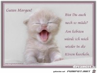 bist du auch noch muede