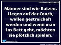 Maenner sind wie Katzen